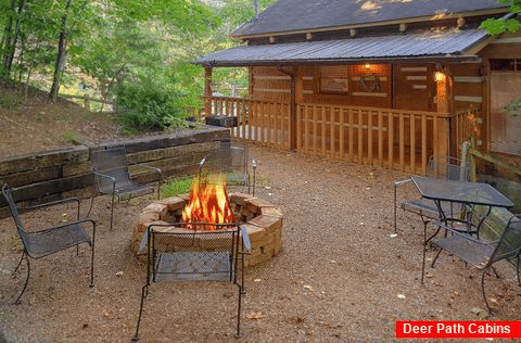 Cozy 2 bedroom cabin with fire pit - A Hummingbird Hideaway