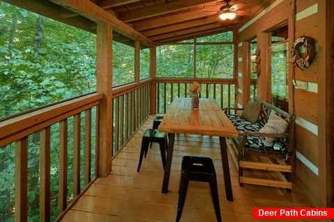 2 bedroom rustic cabin with screened porch - A Hummingbird Hideaway