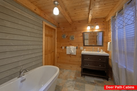 Spacious Master Bath Room - The Overlook