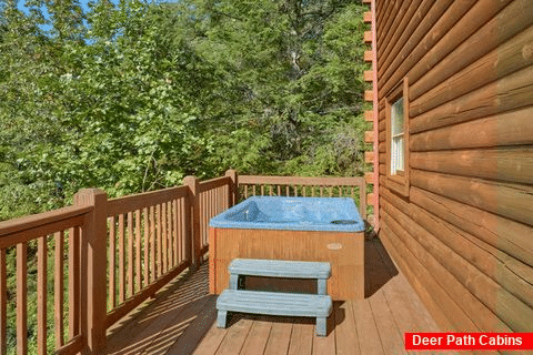 Cabin with Private Hot Tub and Wooded View - A Beary Happy Place