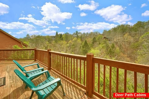 Rustic Cabin with Wooded View of the Mountains - A Beary Happy Place