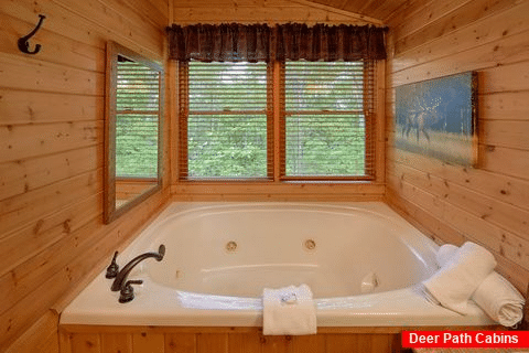 2 Bedroom Cabin with 2 Jacuzzi Tubs Gatlinburg - Angel's Landing