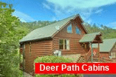 2 Bedroom Cabin in Black Bear Ridge Resort