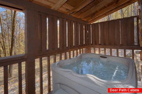 Private Hot Tub 1 Bedroom Cabin Sleeps4 - Bare Kissin And Huggin