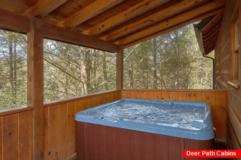 Spacious 3 Bedroom Cabin Sleeps 8 with Hot Tub - Sassy Lady