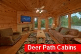 Spacious 2 Bedroom Cabin with Fireplace