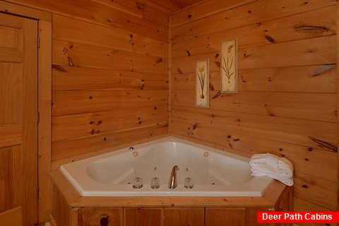 2 Bedroom Cabin with King Bed and Jacuzzi - Bears and Beyond