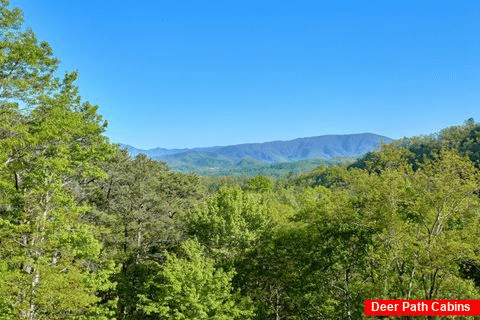 2 Bedroom cabin with a mountain view - Mountain Glory