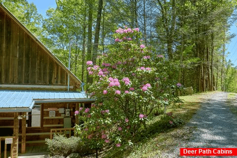 Private Cabin with hot tub, grill and fire pit - Cuddle Creek Cabin