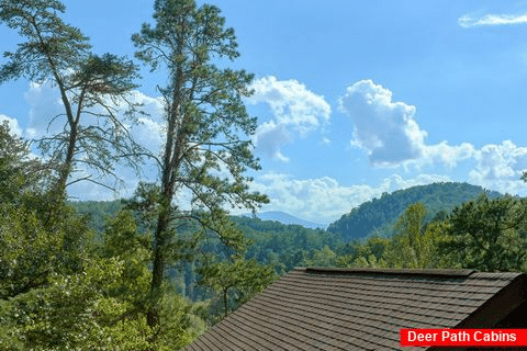 Rustic 2 Bedroom Cabin Sleeps 8 with a View - A Beary Happy Place