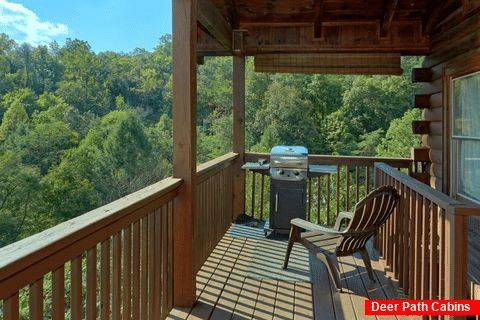 2 Bedroom Cabin with Gas Grill - A Beary Happy Place