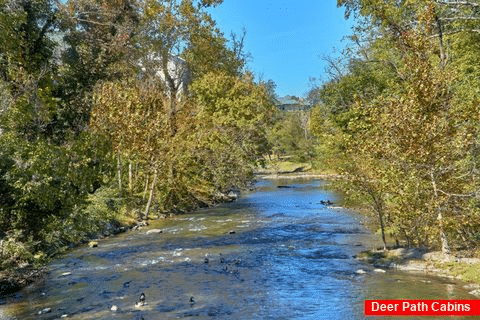 RIver View from 3 bedroom luxury cabin - A River Retreat