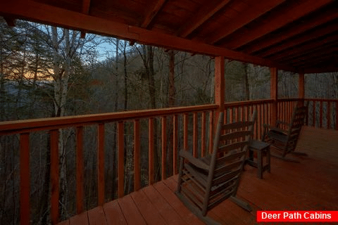 Wooded View from rustic 2 bedroom cabin - Just Barely Making It