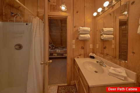 Spacious wears valley cabin with 2 private baths - All By Grace