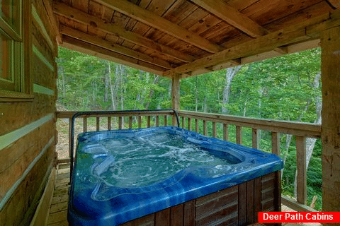 1 bedroom cabin with hot tub and wooded view - All By Grace