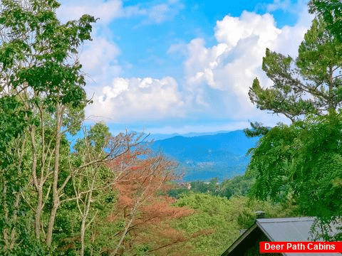 Mountain View from 1 bedroom cabin - All By Grace