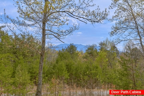 1 Bedroom Cabin with a View - Ah-Mazing