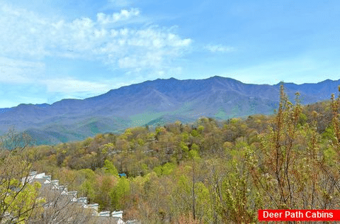 Cabin overlooking Ober Gatlinburg Ski Resort - A Spectacular View to Remember