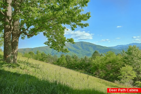 6 Bedroom 6 Bathroom Cabin With View - Tennessee Splendor