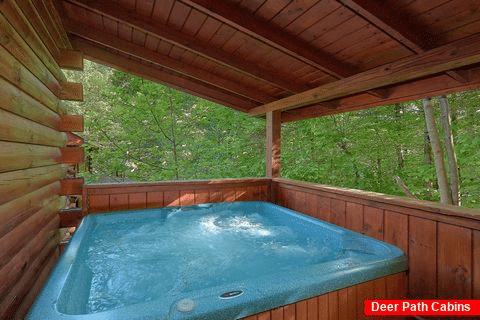 Pigeon Forge cabin with private hot tub on deck - Cuddly Critters