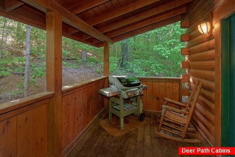 4 bedroom cabin with grill and hot tub on deck - Cuddly Critters