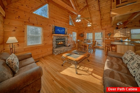 3 bedroom cabin with fireplace in living room - Cabin Fever