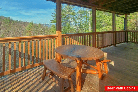 3 bedroom cabin with deck and wooded views - Cabin Fever