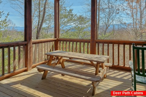 3 Bedroom with Screen in Porch Sleeps 12 - Hidden Fantasy Cabin