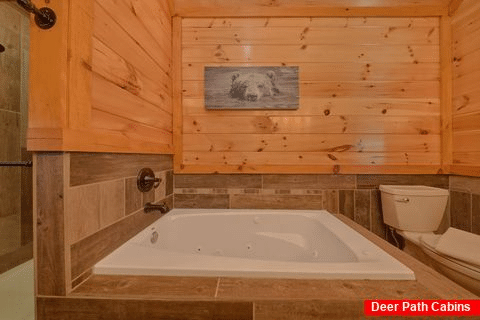 Master Bathroom with Jacuzzi & Walk-in Shower - Cubbs Dream