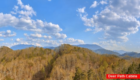 Smoky Mountain 4 Bedroom Cabin Mountain View - Cubbs Dream