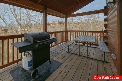 3 bedroom cabin with grill and picnic table - Bandit Lodge