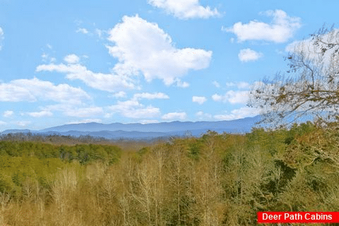 Mountain Views from 3 bedroom pool cabin - Bandit Lodge