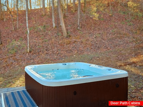 Cabin with Private hot tub and wooded view - Cardinals Creek III