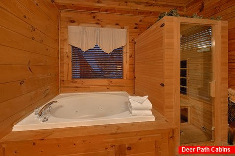 One Bedroom Cabin with Jacuzzi in Pigeon Forge - Lion's Den