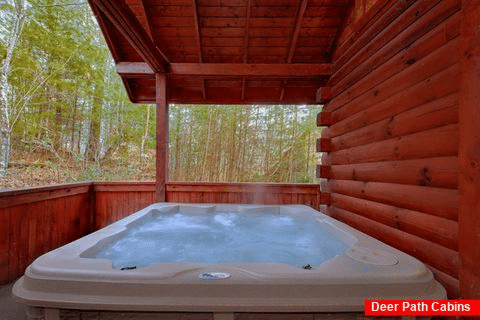 1 Bedroom Cabin with Hot Tub Sleeps 4 - Lion's Den