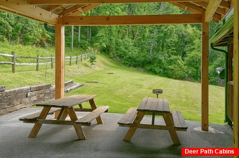 3 bedroom cabin with picnic tables and grill - Dogwood Acre