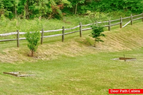 Cabin rental with horseshoe pit and picnic table - Dogwood Acre