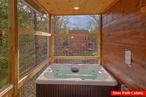 Two Bedroom Cabin by Douglas Lake with Hot Tub - Relax I