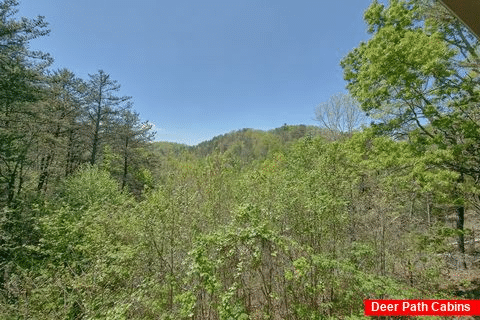 1 Bedroom Smoky Mountain Cabin Rental - Serenity Ridge