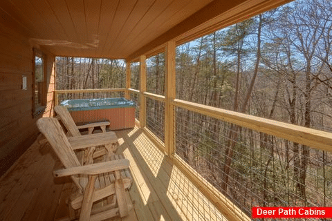 Cabin with Deck and Hot Tub - A Beary Special Place