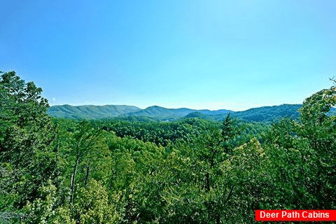 Smoky Mountain Views - Above the Clouds