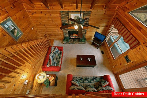 Cabin with Living Room with Wooded Views - Little Cove Hideaway