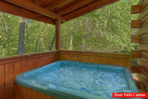 Cabin With Hot Tub - Paws A While