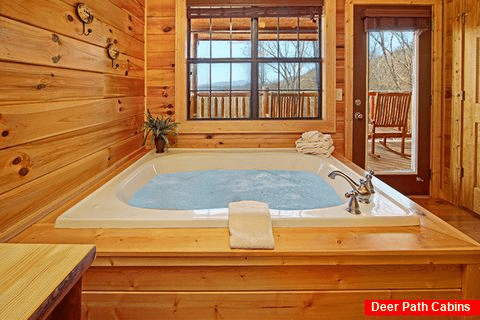 Cabin with Jacuzzi Tub - Shakonohey