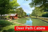 Cabin with pond and waterwheel