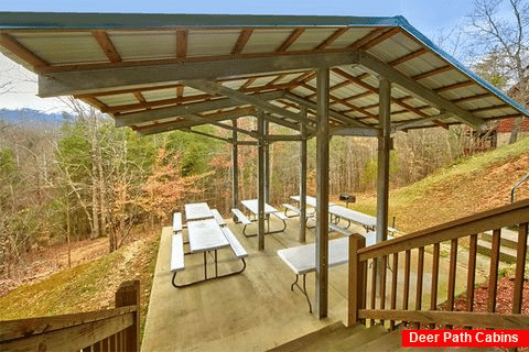 Pigeon Forge Cabin with a Spacious Picnic Area - Alexander the Great