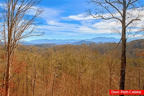 Wears Valley Cabin with a Wooded Setting - Altitude Adjustment